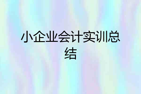 小企业会计实训总结