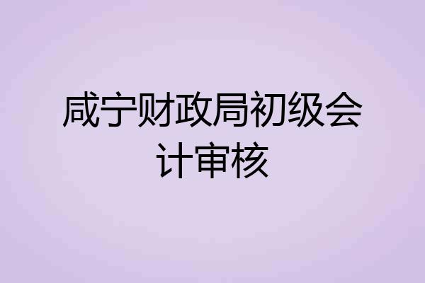 咸宁财政局初级会计审核