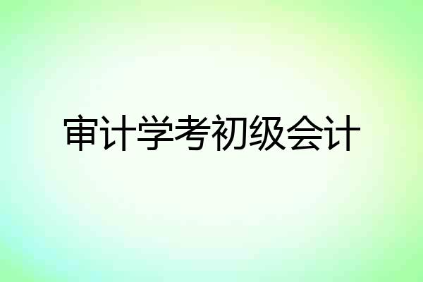 审计学考初级会计