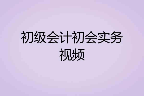 初级会计初会实务视频