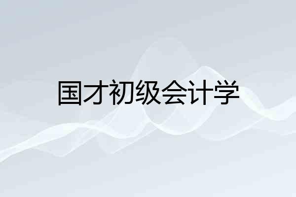 国才初级会计学