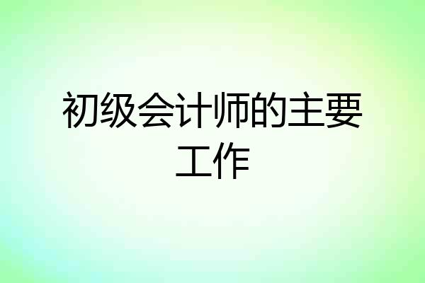 初级会计师的主要工作