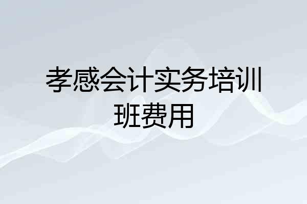 孝感会计实务培训班费用