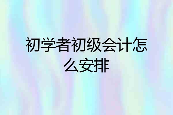 初学者初级会计怎么安排