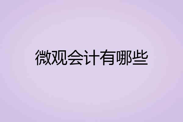 微观会计有哪些