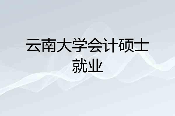 云南大学会计硕士就业