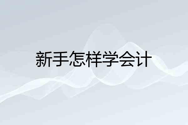 新手怎样学会计
