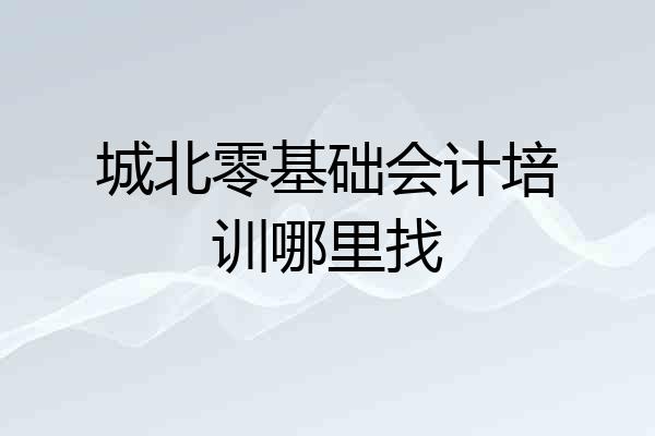 城北零基础会计培训哪里找