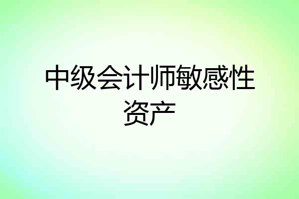 中级会计师敏感性资产