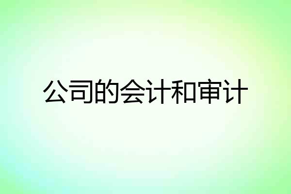 公司的会计和审计
