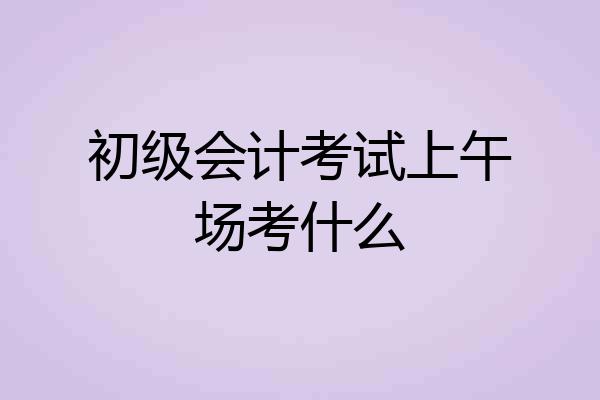 初级会计考试上午场考什么