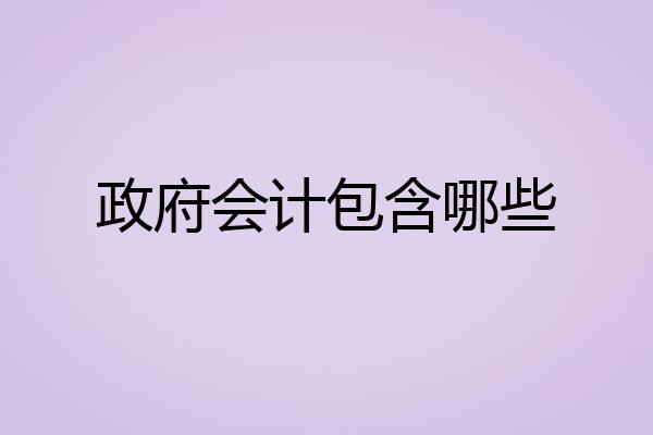 政府会计包含哪些