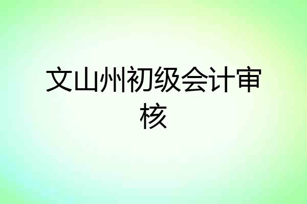 文山州初级会计审核