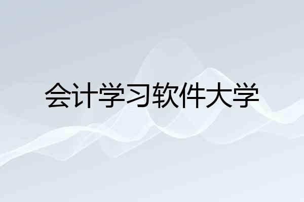 会计学习软件大学