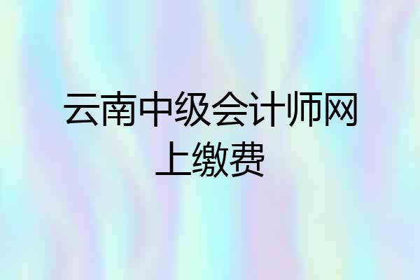 云南中级会计师网上缴费