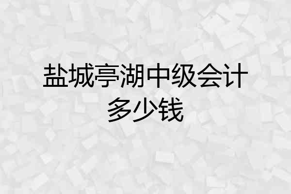 盐城亭湖中级会计多少钱