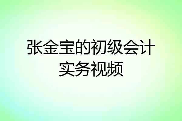 张金宝的初级会计实务视频