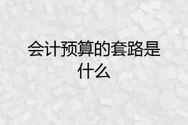 会计预算的套路是什么