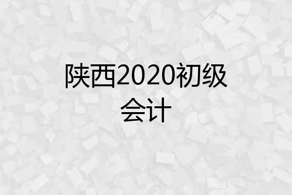 陕西2020初级会计