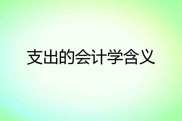支出的会计学含义