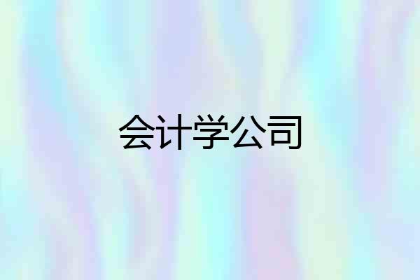 会计学公司