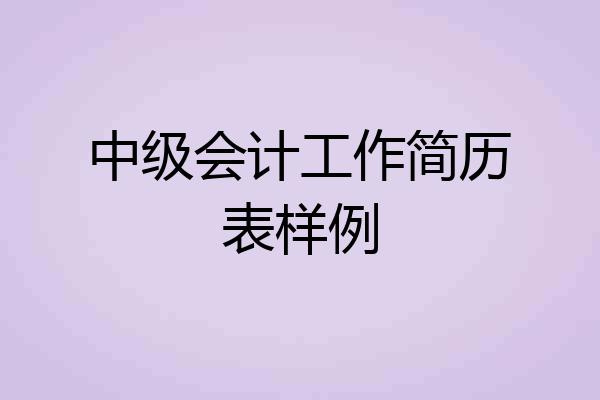 中级会计工作简历表样例