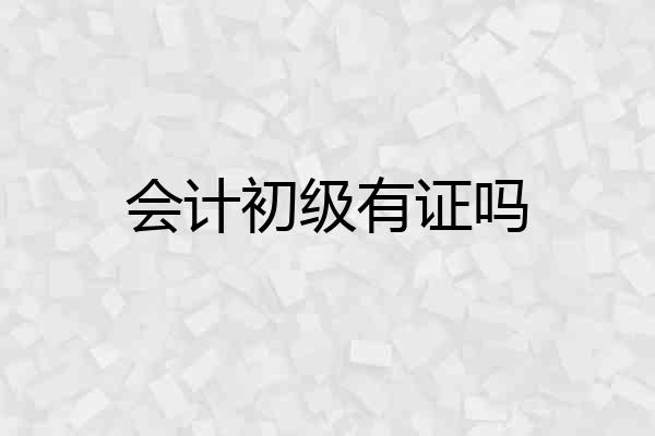 会计初级有证吗