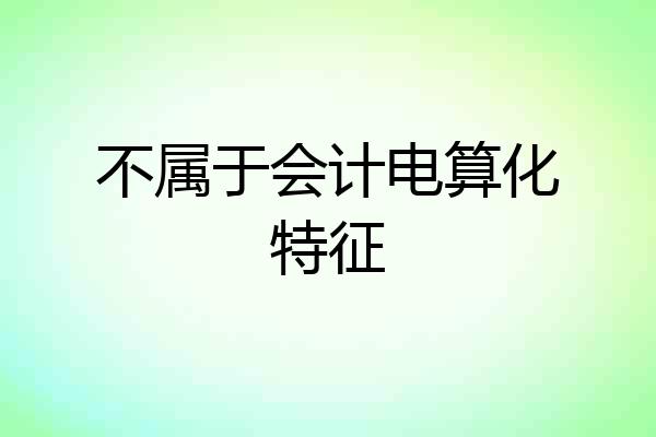 不属于会计电算化特征