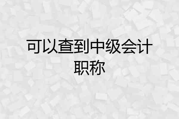 可以查到中级会计职称