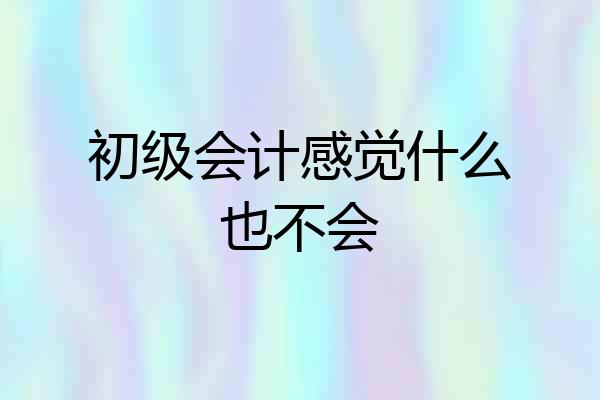 初级会计感觉什么也不会