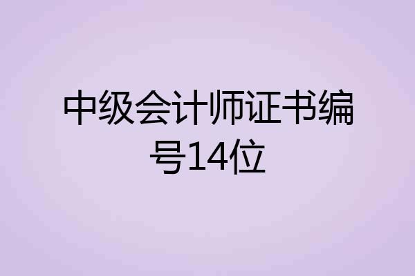中级会计师证书编号14位