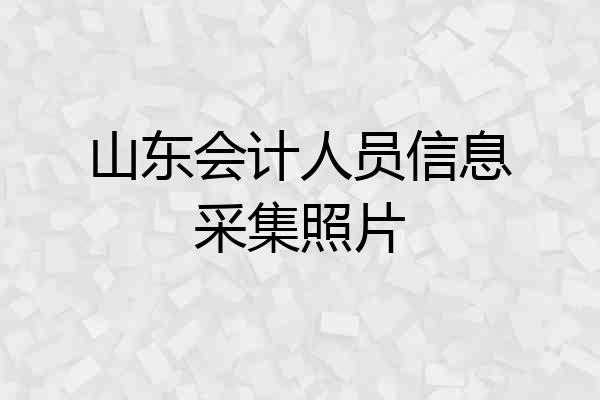 山东会计人员信息采集照片