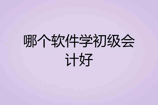 哪个软件学初级会计好