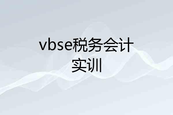 vbse税务会计实训
