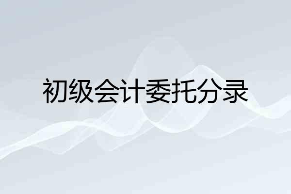 初级会计委托分录