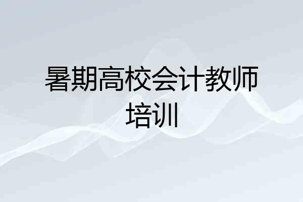 暑期高校会计教师培训