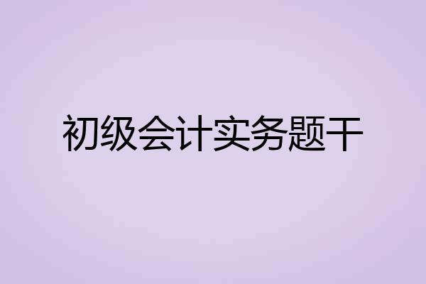 初级会计实务题干
