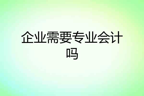 企业需要专业会计吗