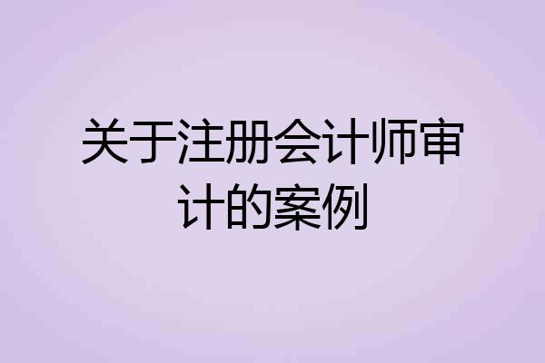 关于注册会计师审计的案例