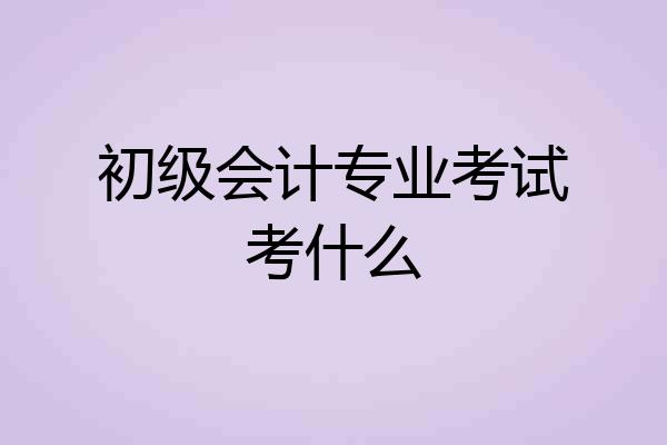 初级会计专业考试考什么
