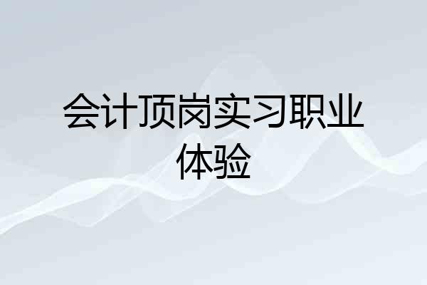 会计顶岗实习职业体验