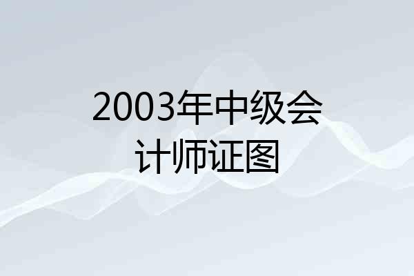 2003年中级会计师证图
