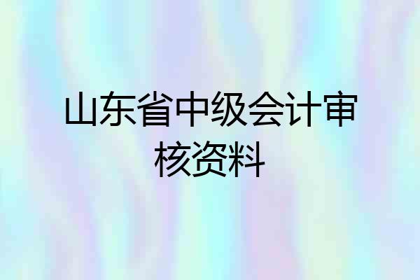 山东省中级会计审核资料