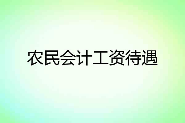 农民会计工资待遇