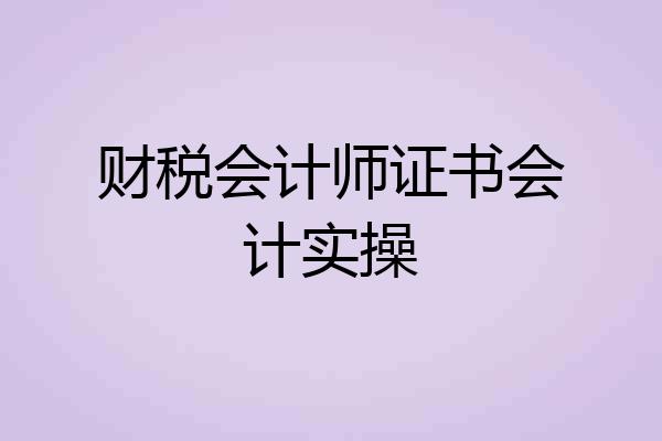 财税会计师证书会计实操