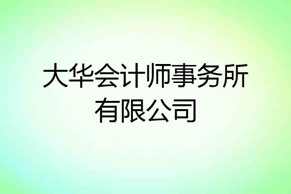 大华会计师事务所有限公司