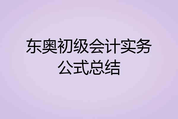 东奥初级会计实务公式总结