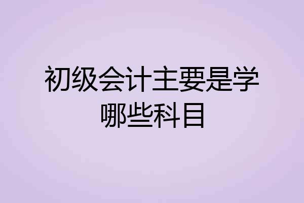 初级会计主要是学哪些科目
