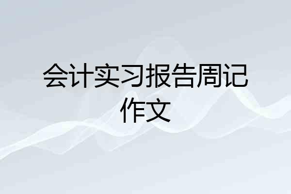 会计实习报告周记作文