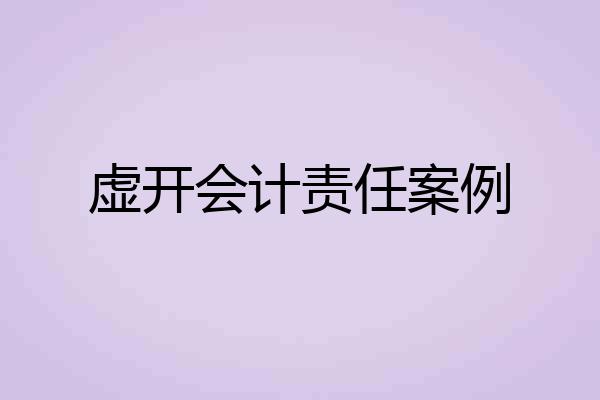 虚开会计责任案例